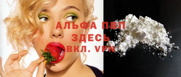 крисы Белокуриха
