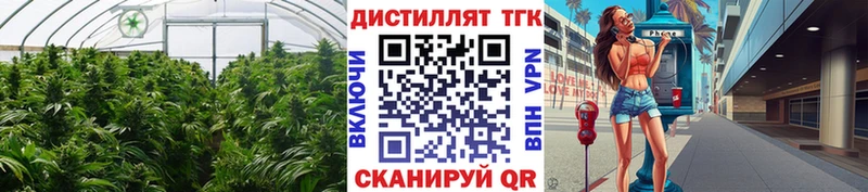 Дистиллят ТГК жижа  купить наркотики цена  Берёзовский 