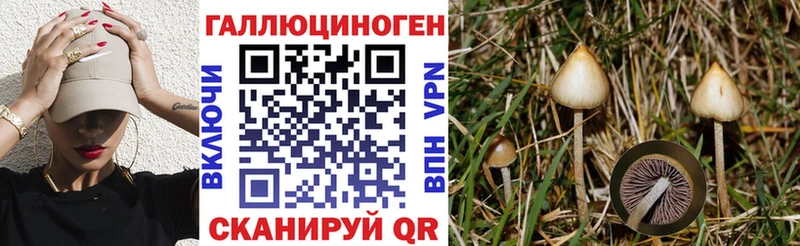 даркнет сайт  Берёзовский  Псилоцибиновые грибы мицелий 